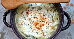 Kohlrabi with Sour Cream and Marjoram 2